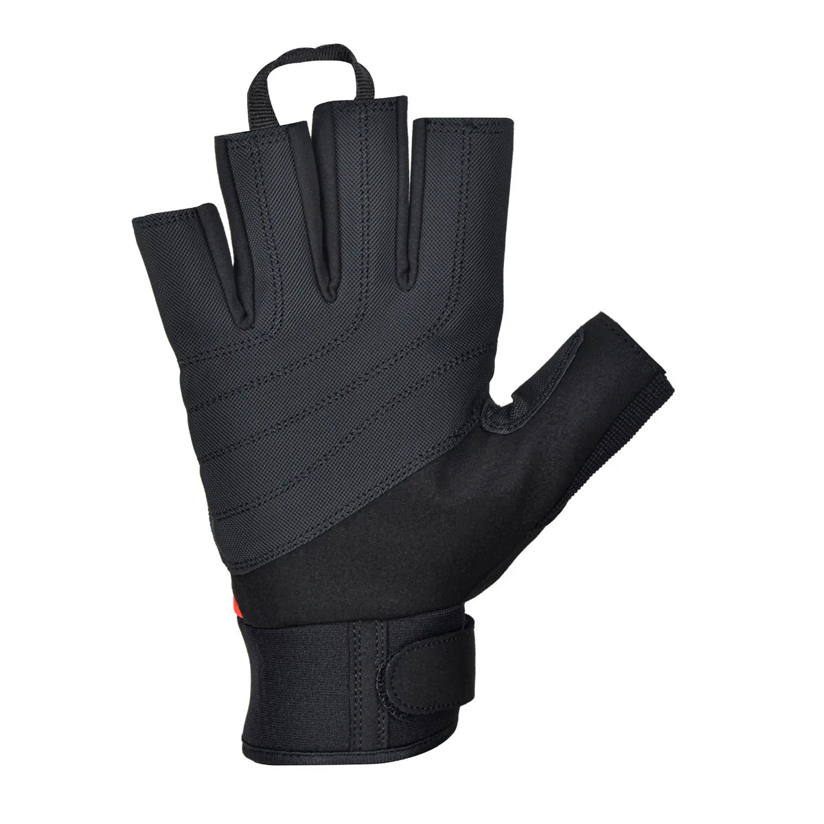 Cycling & Gym Gloves